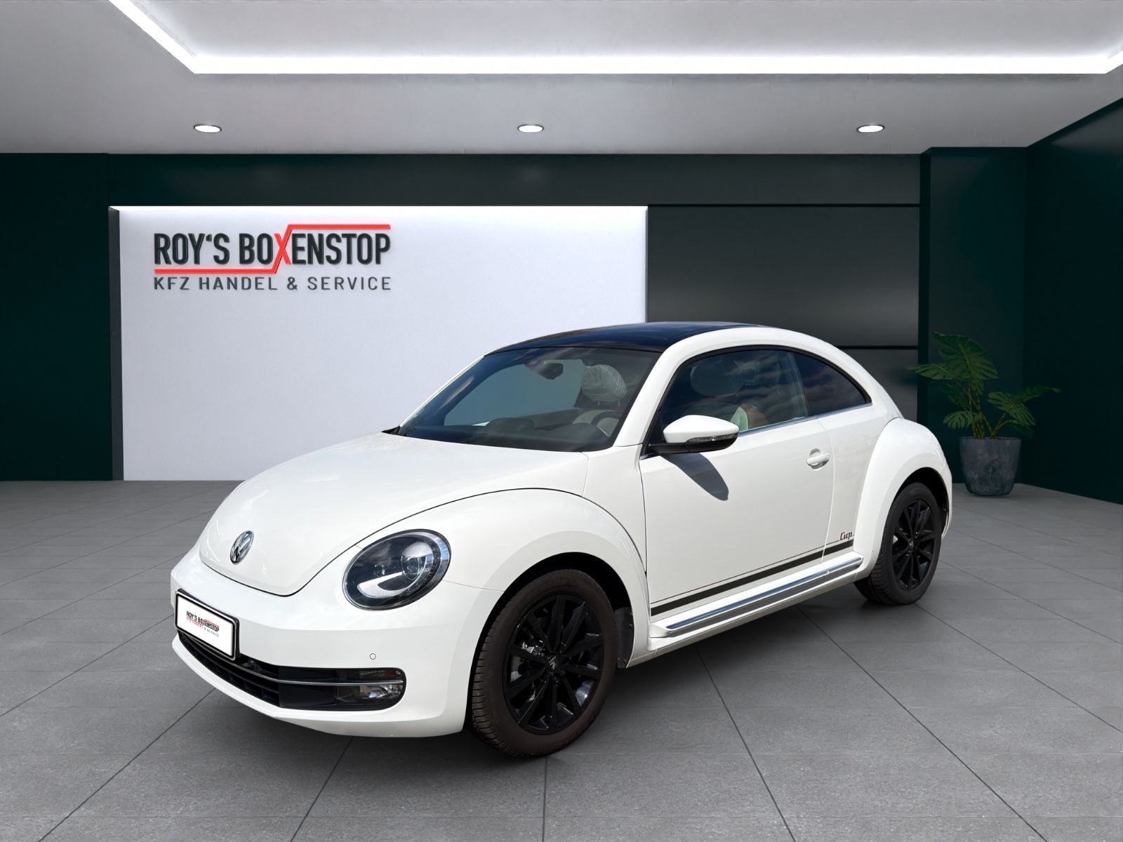 Beetle Lim. Cup